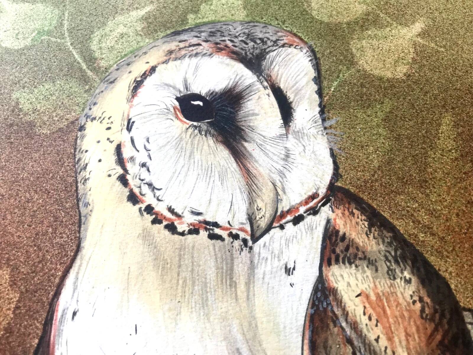 Lithograph (large format) Owl Jobin Paris Grapholith