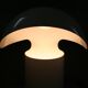 Italian Francesco Buzzi Ceriani 1970 vintage lamp