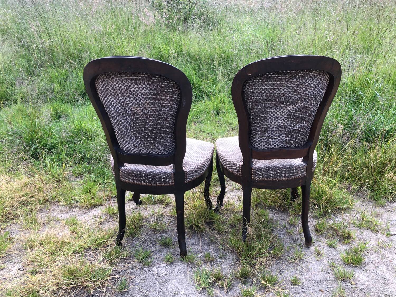 Pair of rosewood medallion chairs