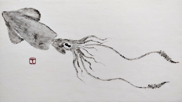 Empreinte originale d'un calamar, tableau encadré