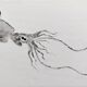 Original print of a squid, framed painting