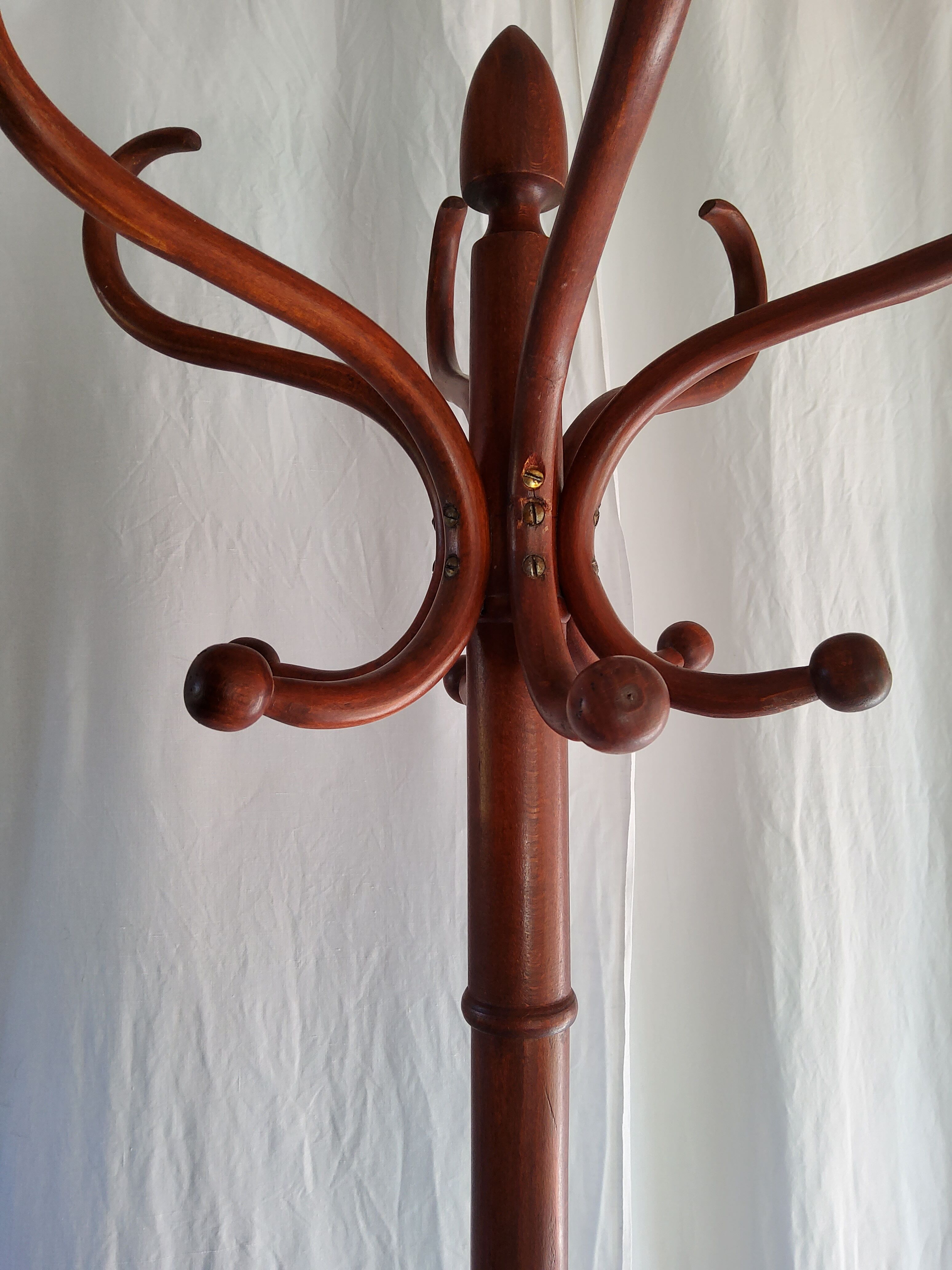 Ancient parrot coat rack