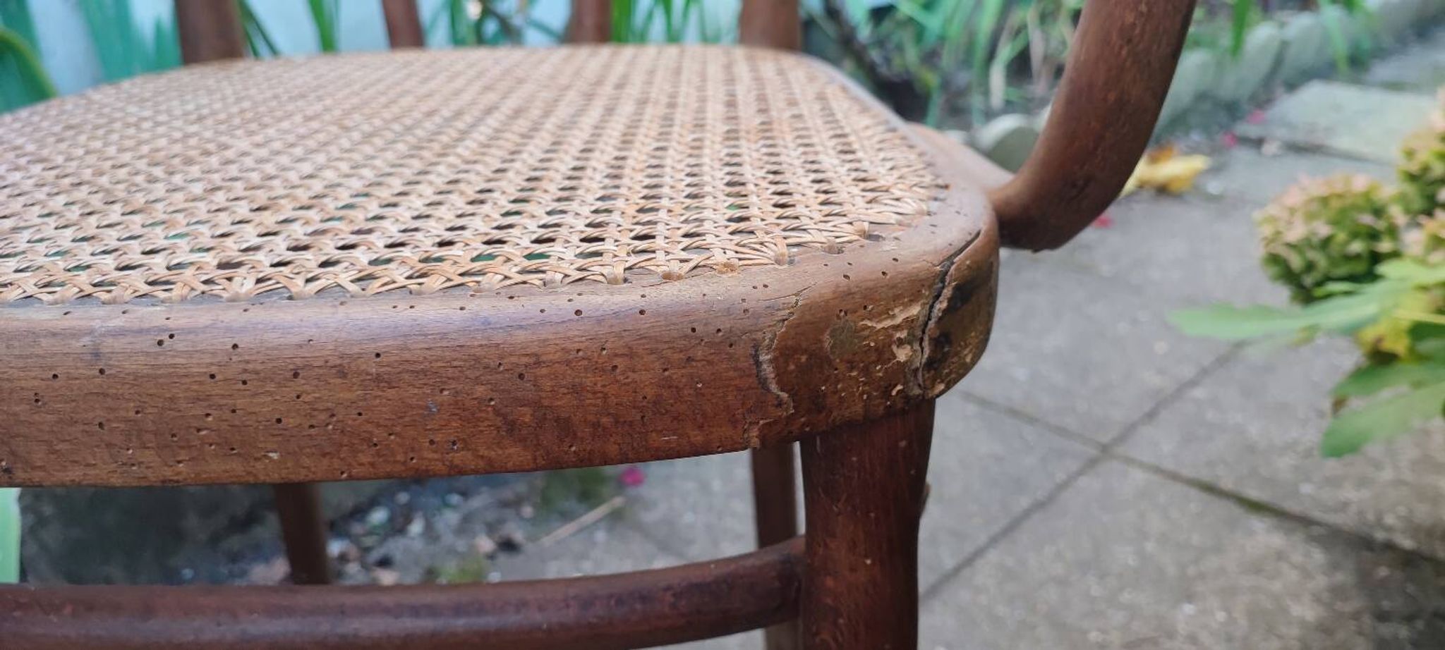 Thonet armchair no. 56