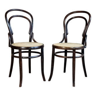 Pair chairs bistrot n°14 Fischel early twentieth