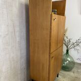 Mlodernist shelf