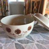 Soup dandelion pattern