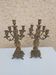 Pair of bronze chandeliers