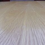 Extendable Scandinavian table