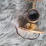 Set of 2 wall lights in gilded brass and opaline glass