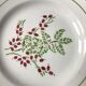 12 assiettes à dessert vintage