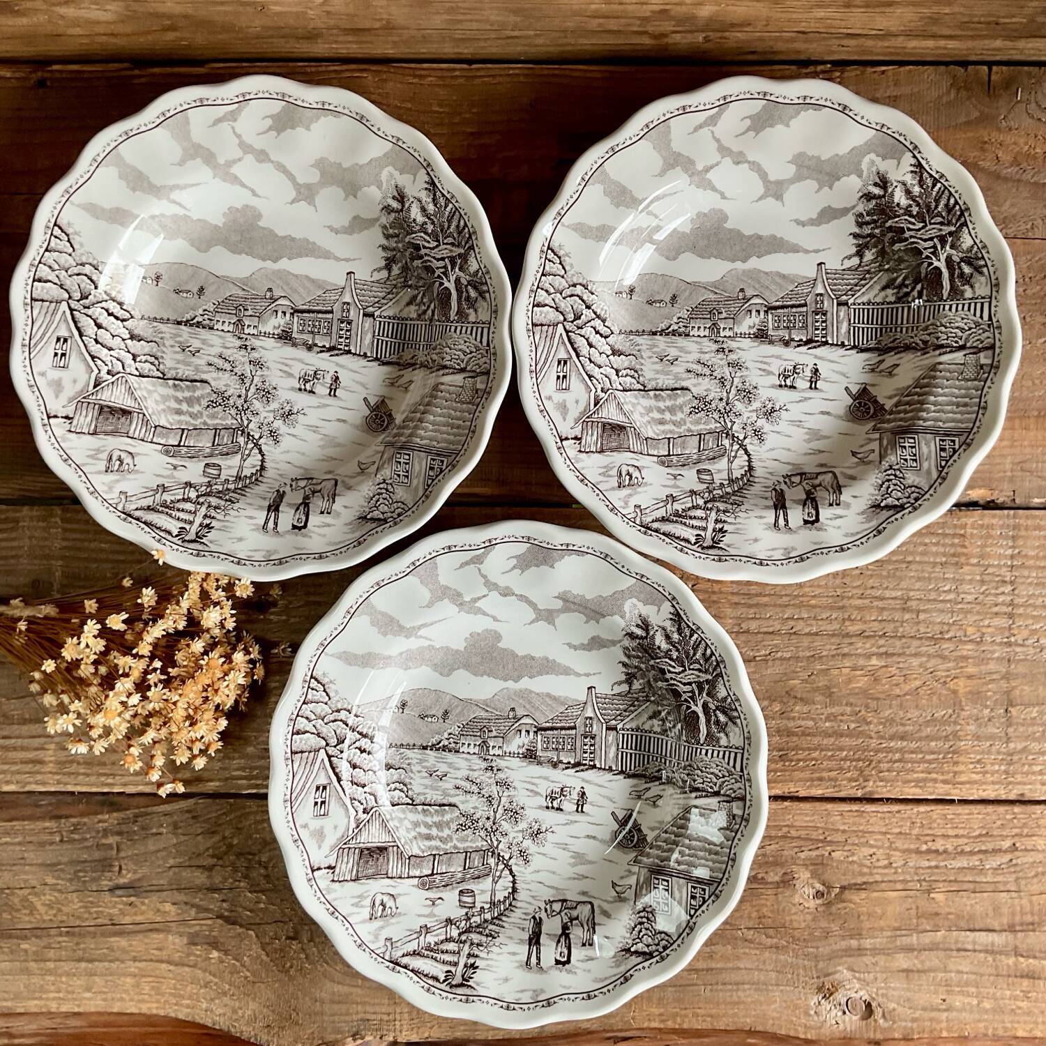 4 deep plates N Fontabesso Italy