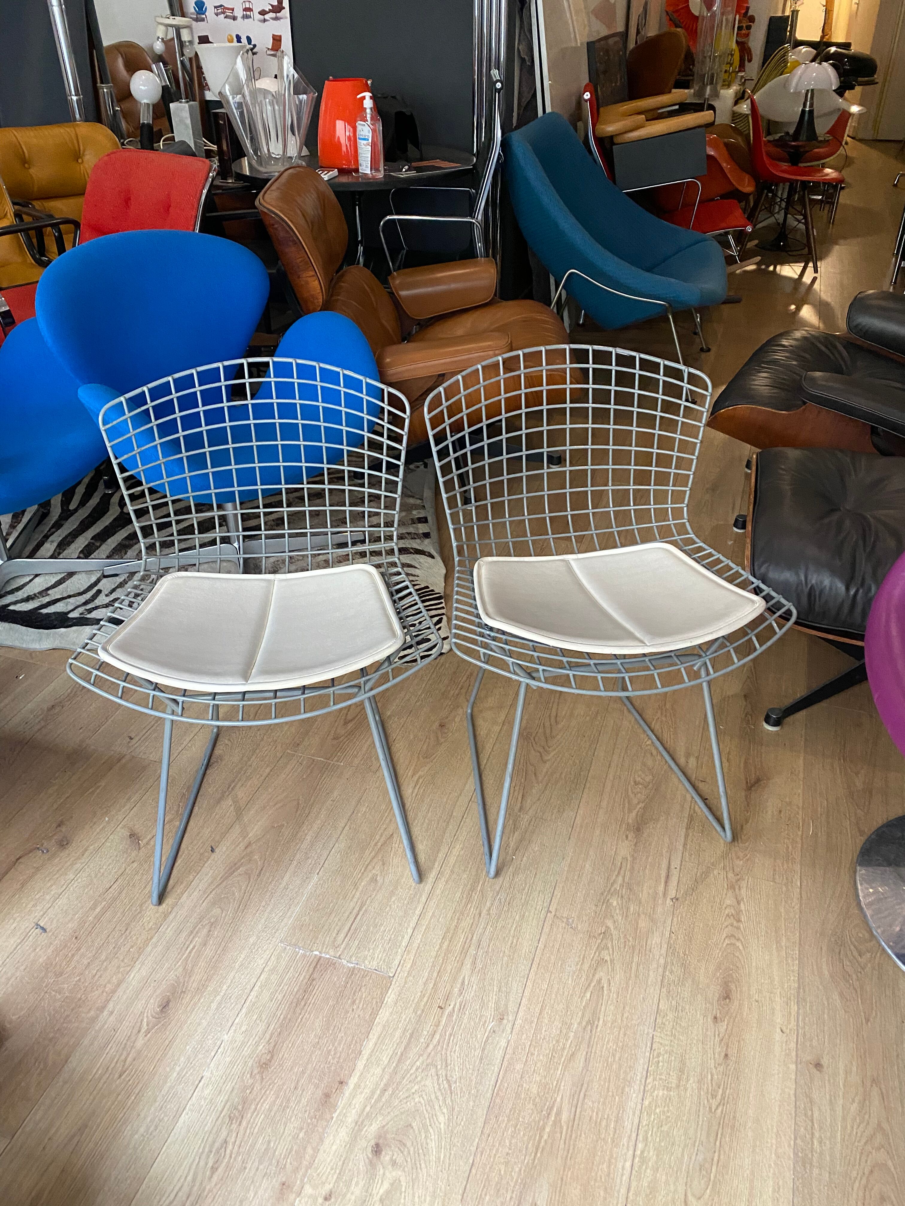 Chair Bertoia Rislan gray edition Knoll with white cake year 80