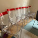 chaises Starck × Kartell