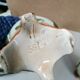 Pair of Vases + Planter Art Nouveau Barbotine / Faience