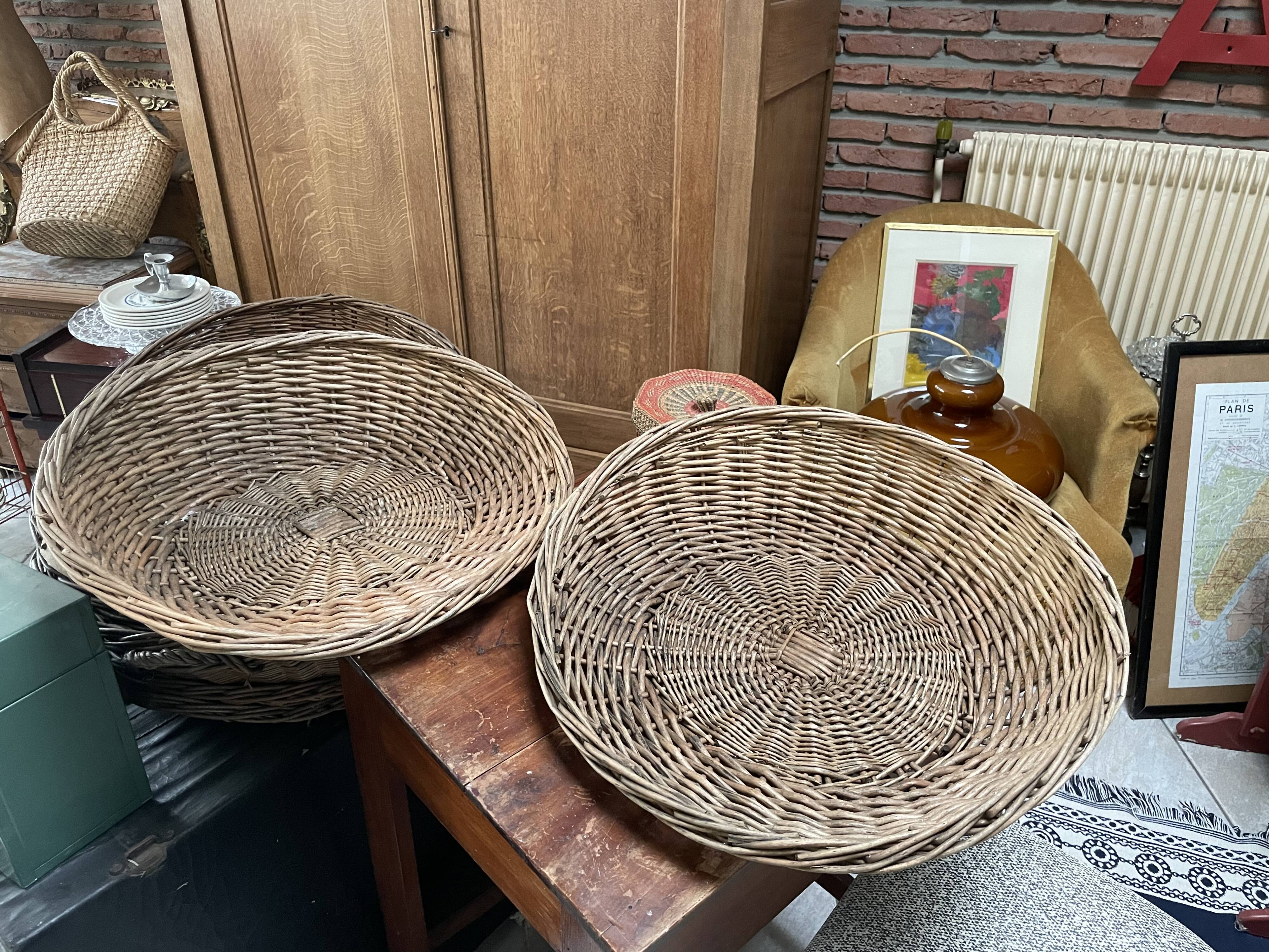 Baskets Alphonse and Arsène