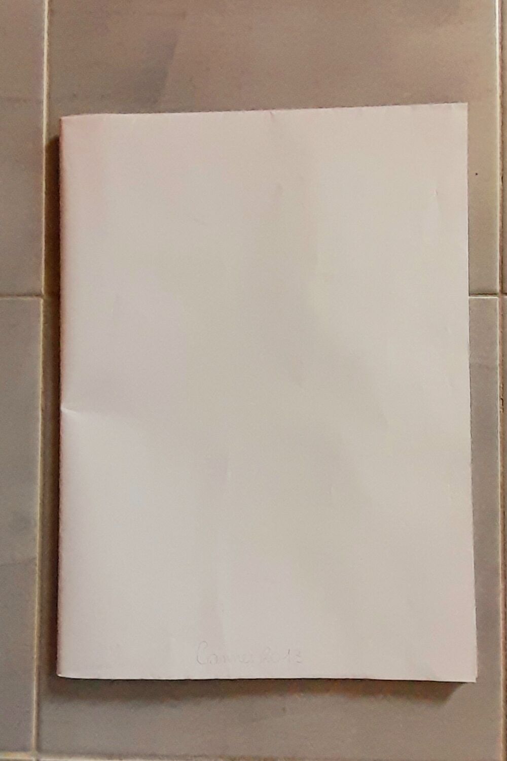 Original poster Cannes 2013