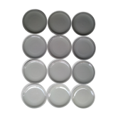 Ensemble de 12 assiettes plates