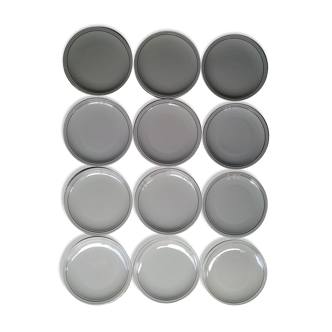 Ensemble de 12 assiettes plates