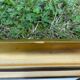 Vintage rectangular mirror in gilded wood h49 xl35