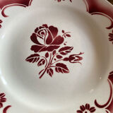 Pink plates iron earth amandinoise