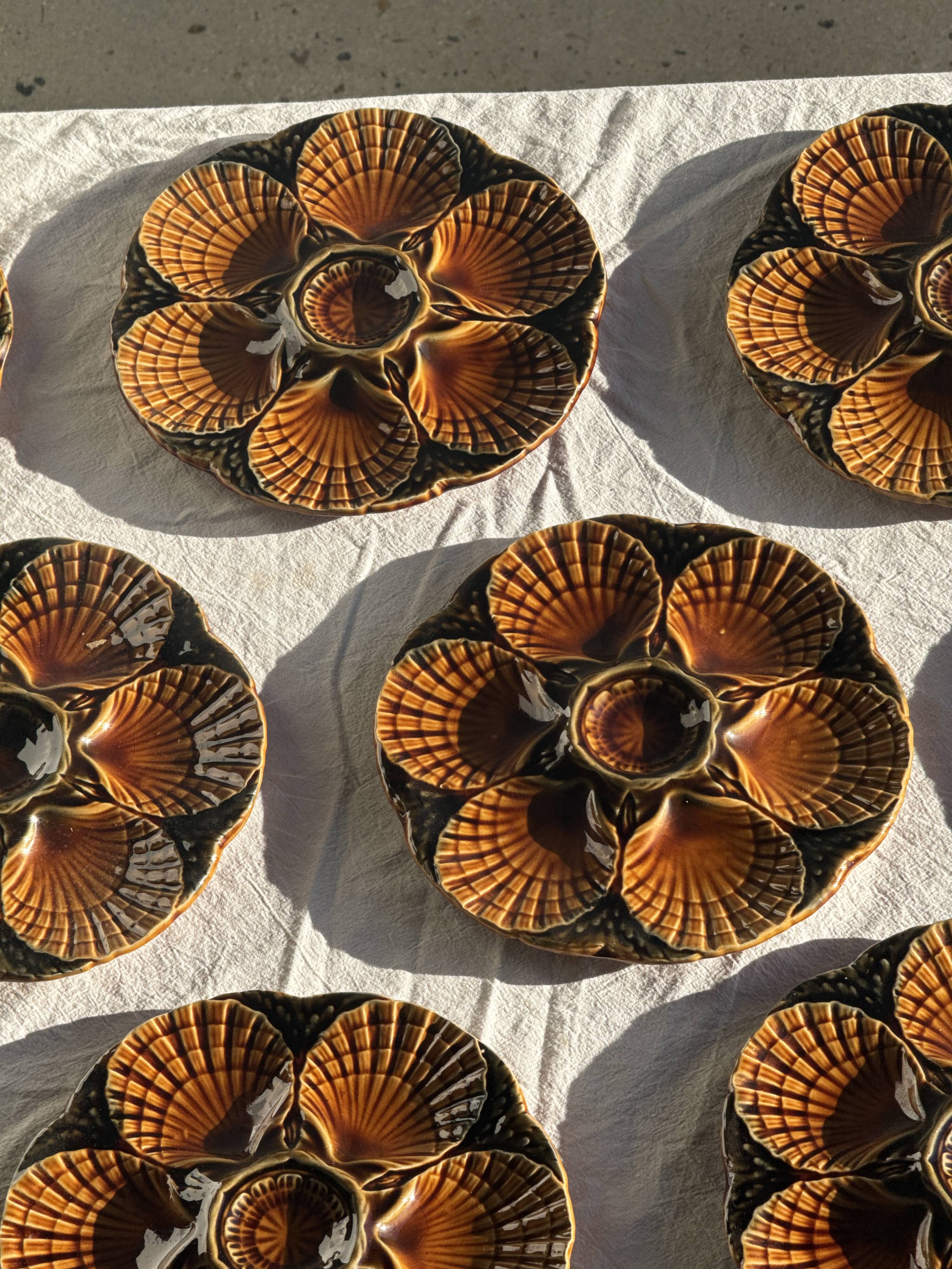 Set of 12 oyster or shell plates in glazed brown ceramic D