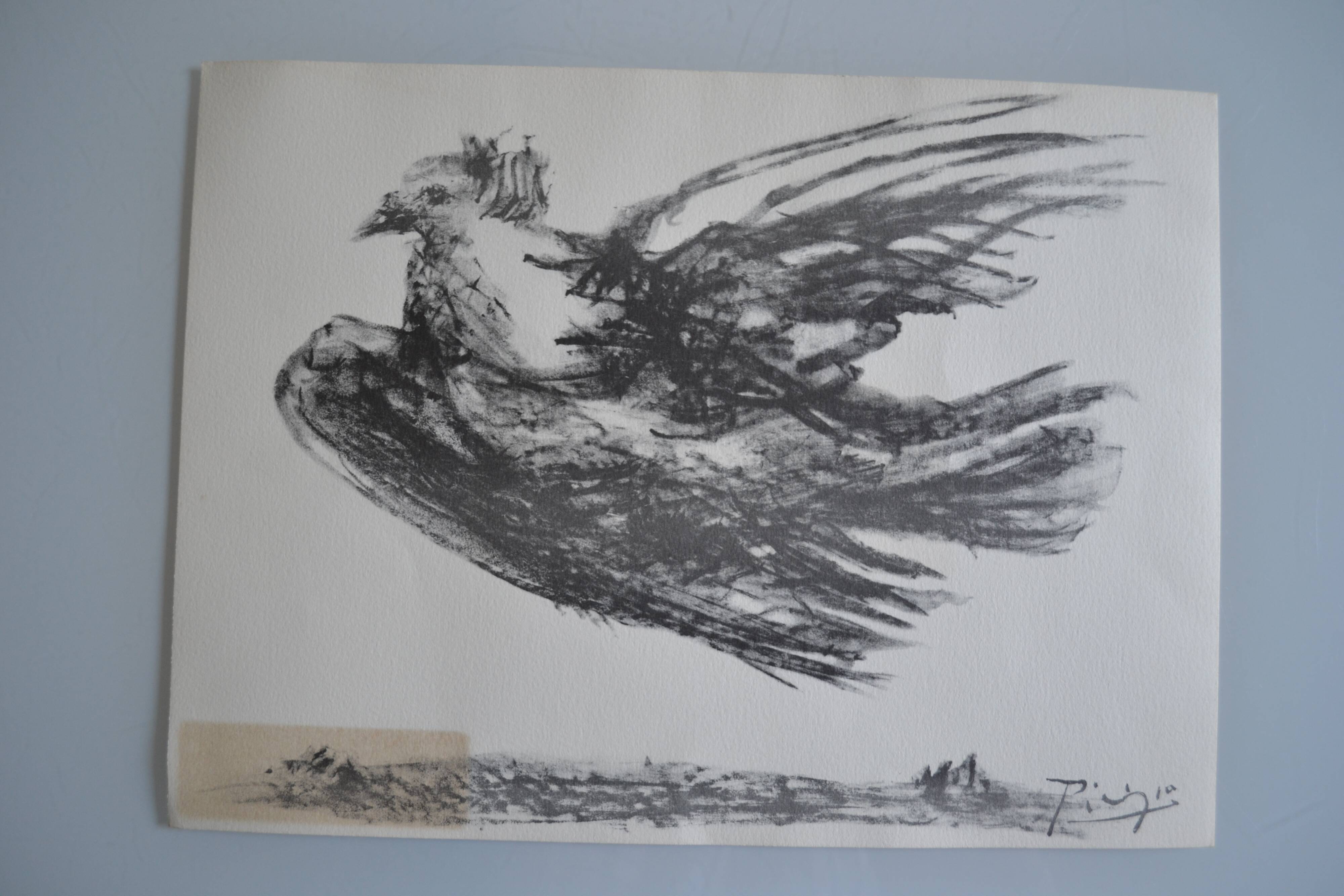Picasso Lithographie originale 1959 La colombe en vol 38x28cm