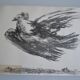 Picasso Lithographie originale 1959 La colombe en vol 38x28cm