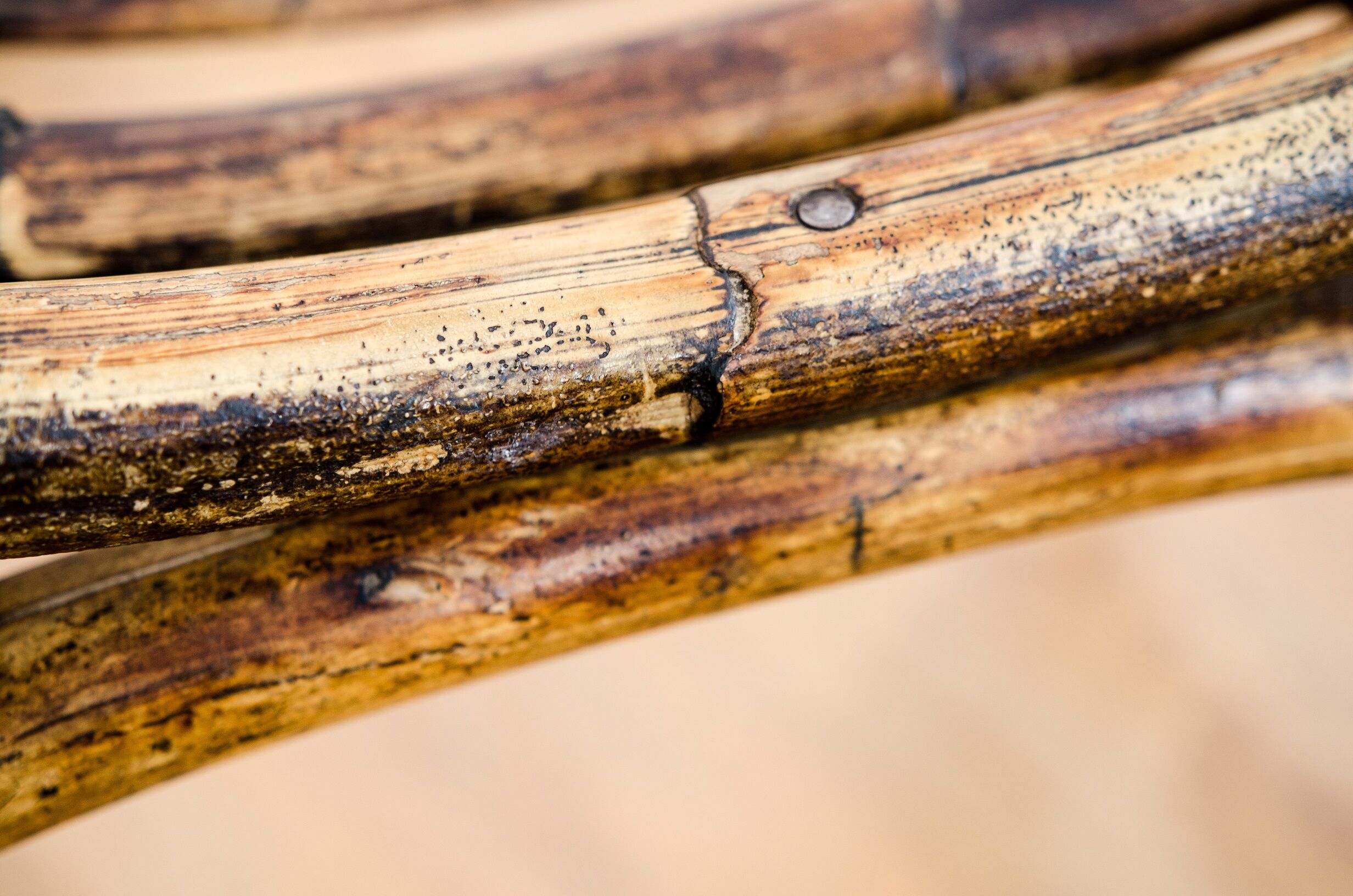 Art deco rattan armchairs 1920