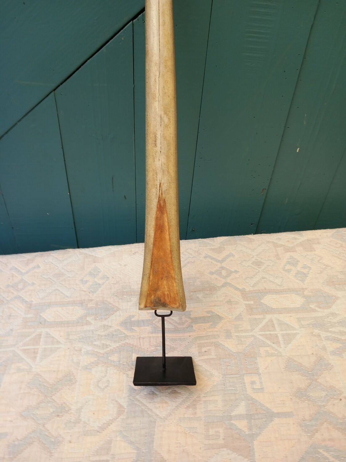 Rostrum marlin on Metal base sport fishing