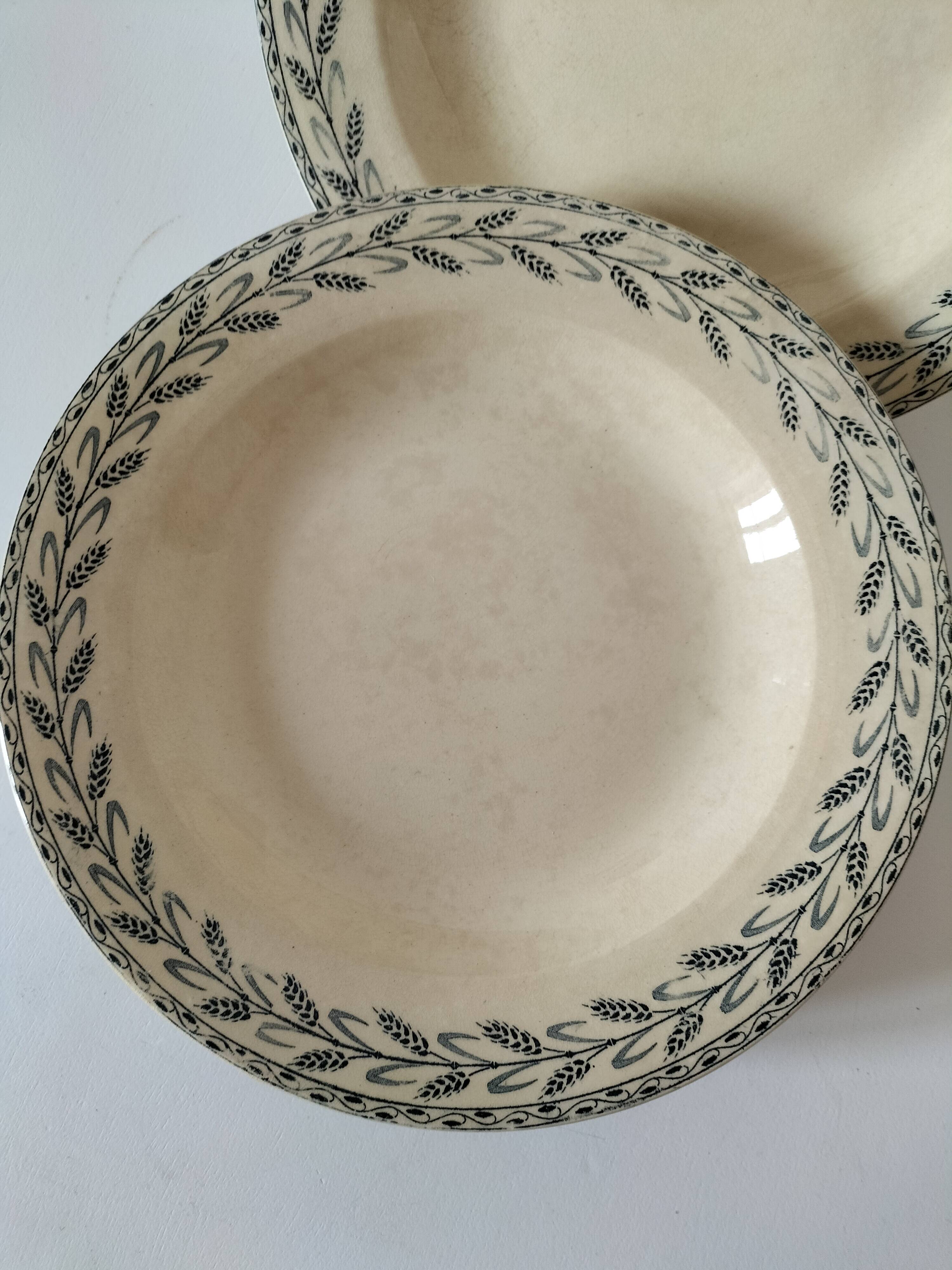 6 old E.C. Salins “Les Épis” ironstone soup plates