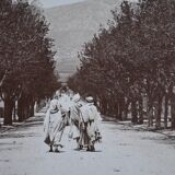 Old albumen print photo Maghreb? Algeria?