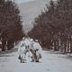 Photo ancienne tirage albumine Maghreb ? Algérie ?