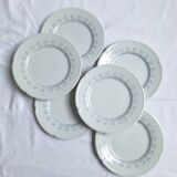 Limoges porcelain flat plates