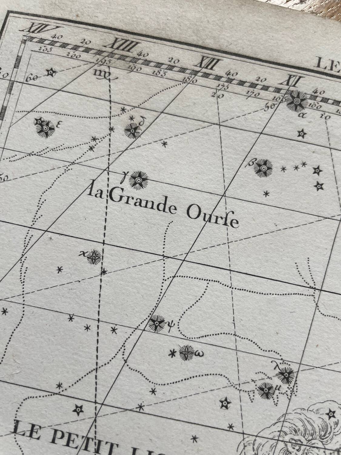 The Lynx and the Little Lyon - Astrology plate 1795