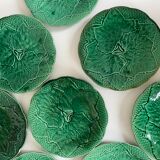8 plates in leaf slurry