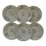 6 dessert plates in earthenware from SARREGUEMINES. DAMPIERRE model.