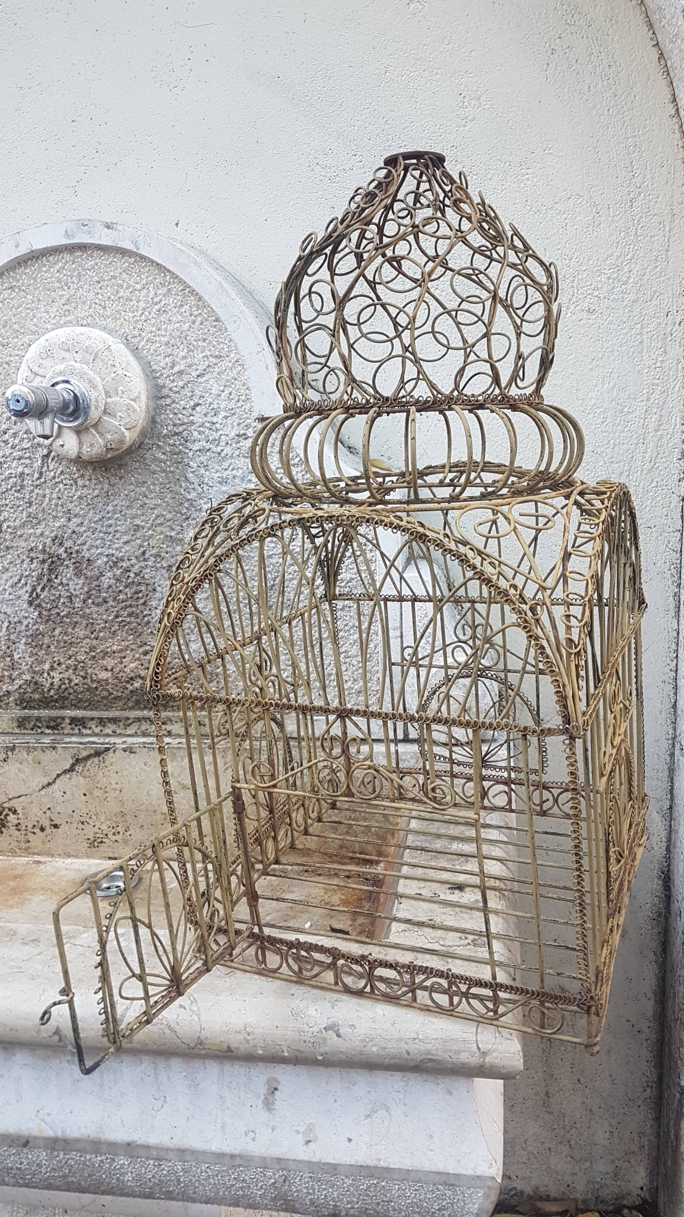 Painted old-bird cage in scrap