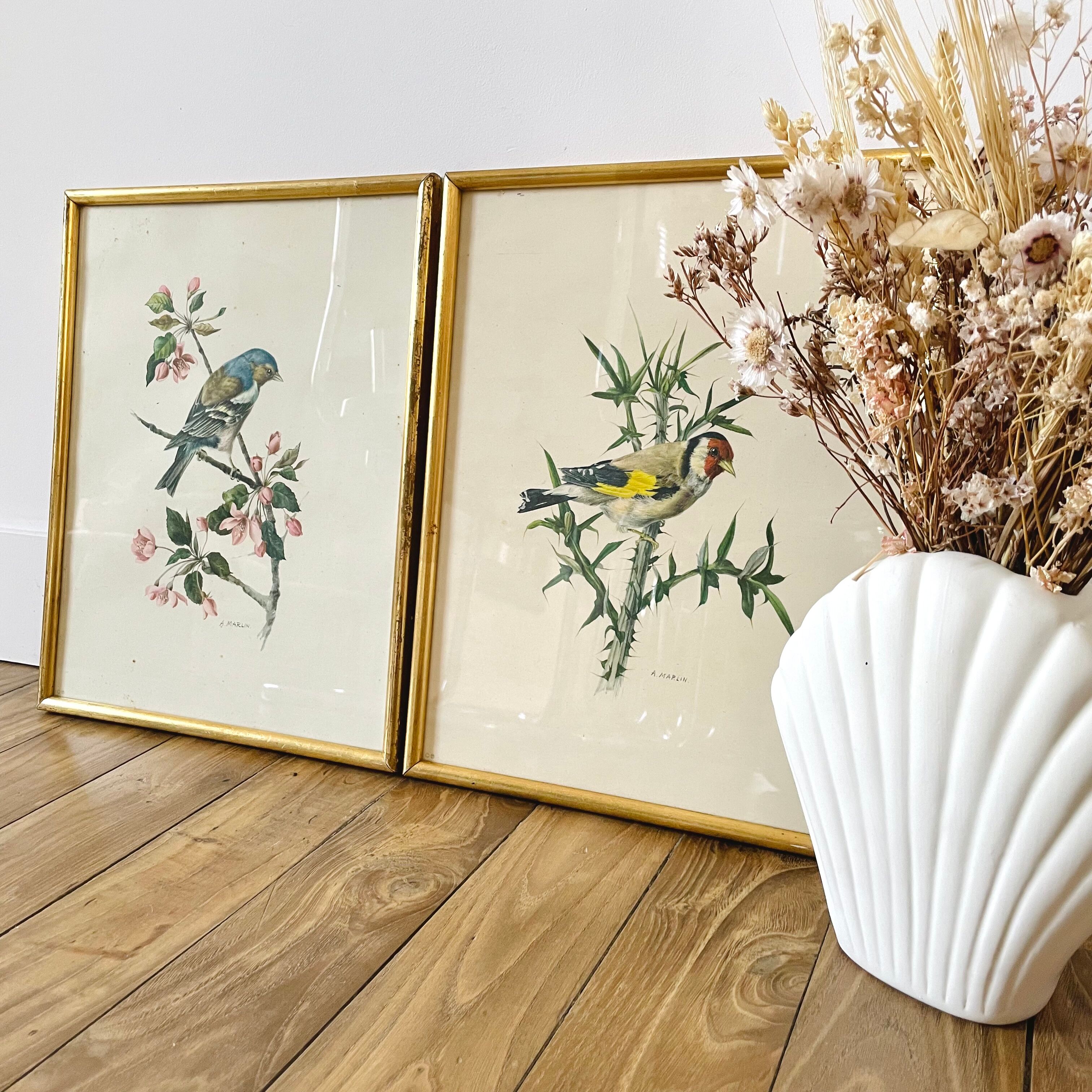 Lot of two illustration bird by To. Spearfish