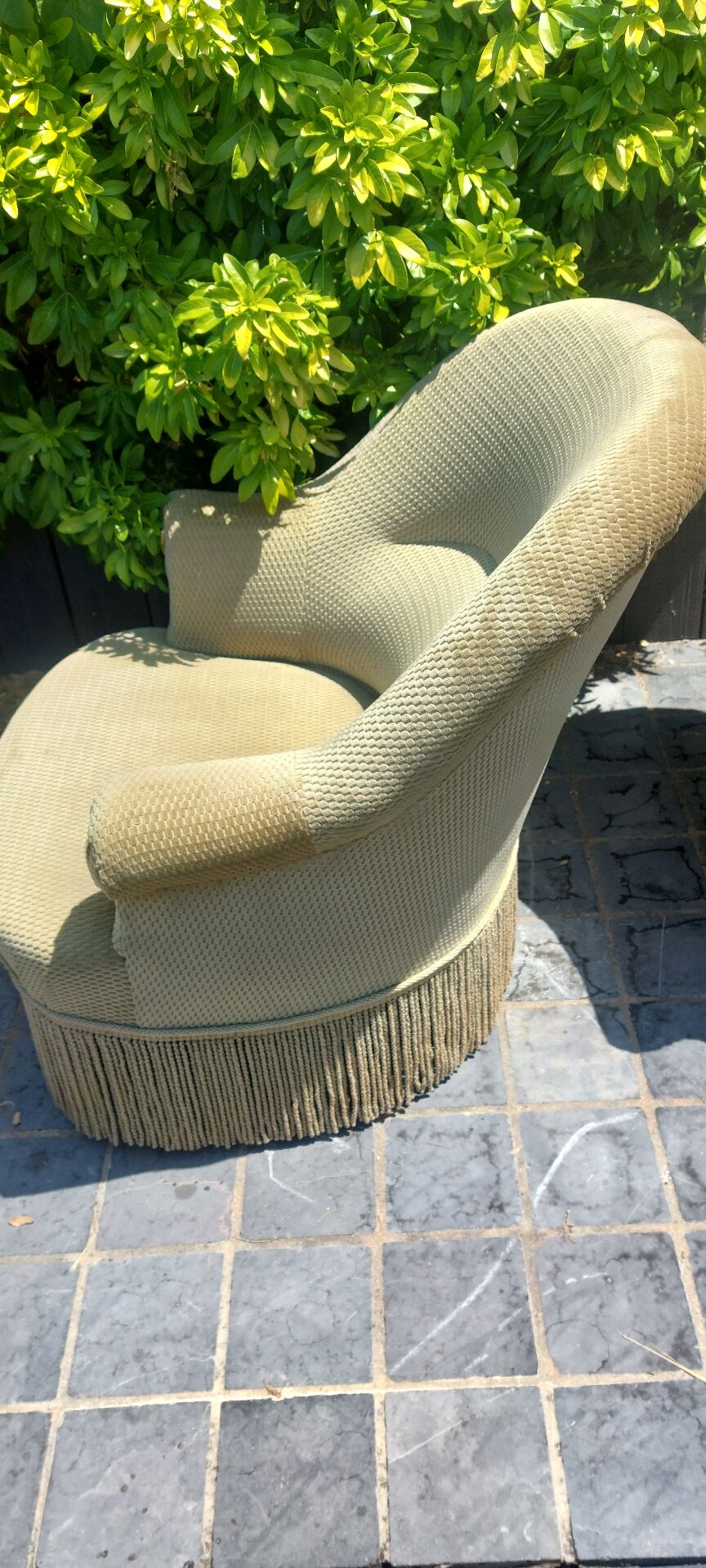 Frog chairs