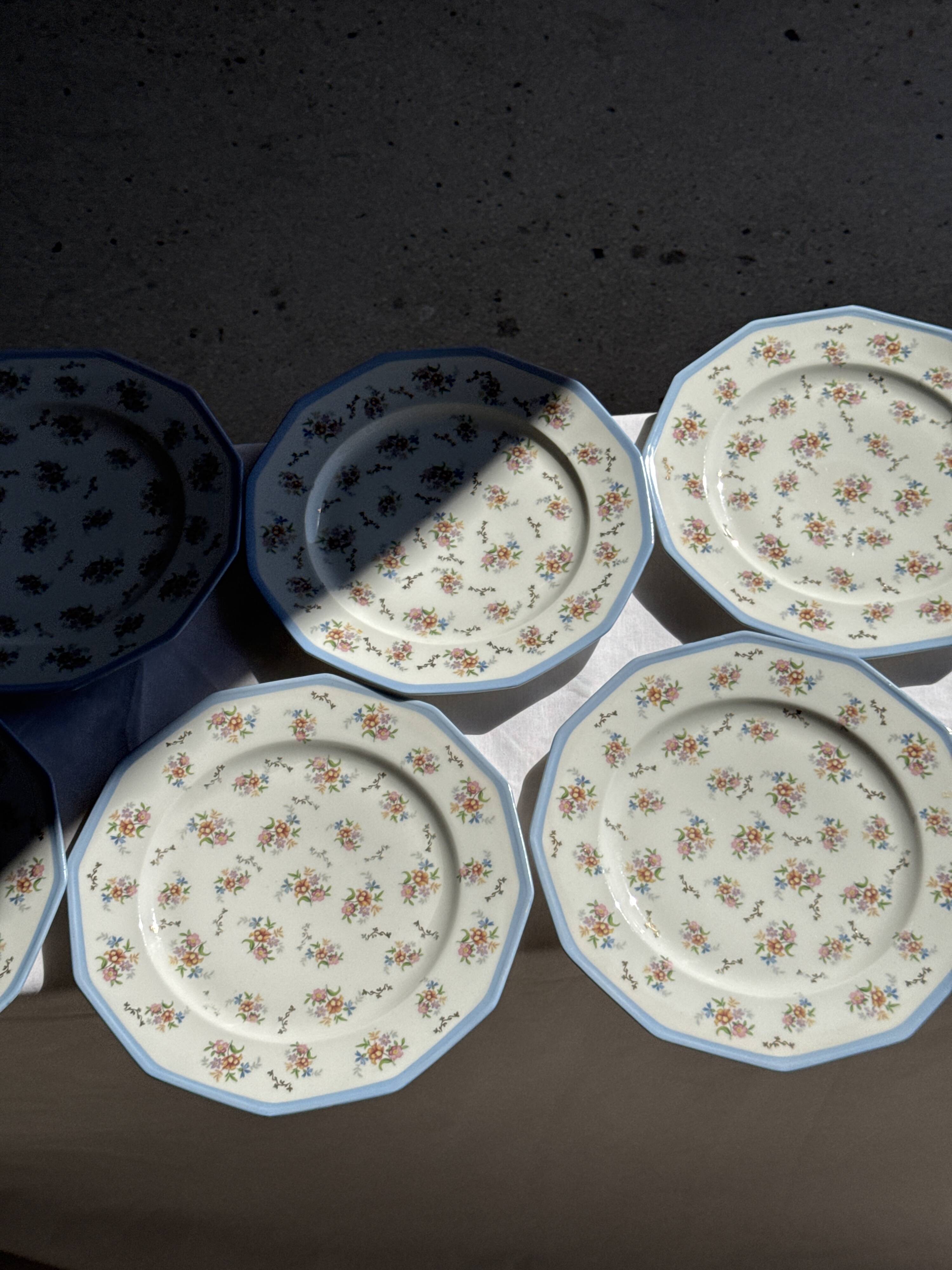 Set of 10 flat plates in Limoges porcelain from France with flowers.