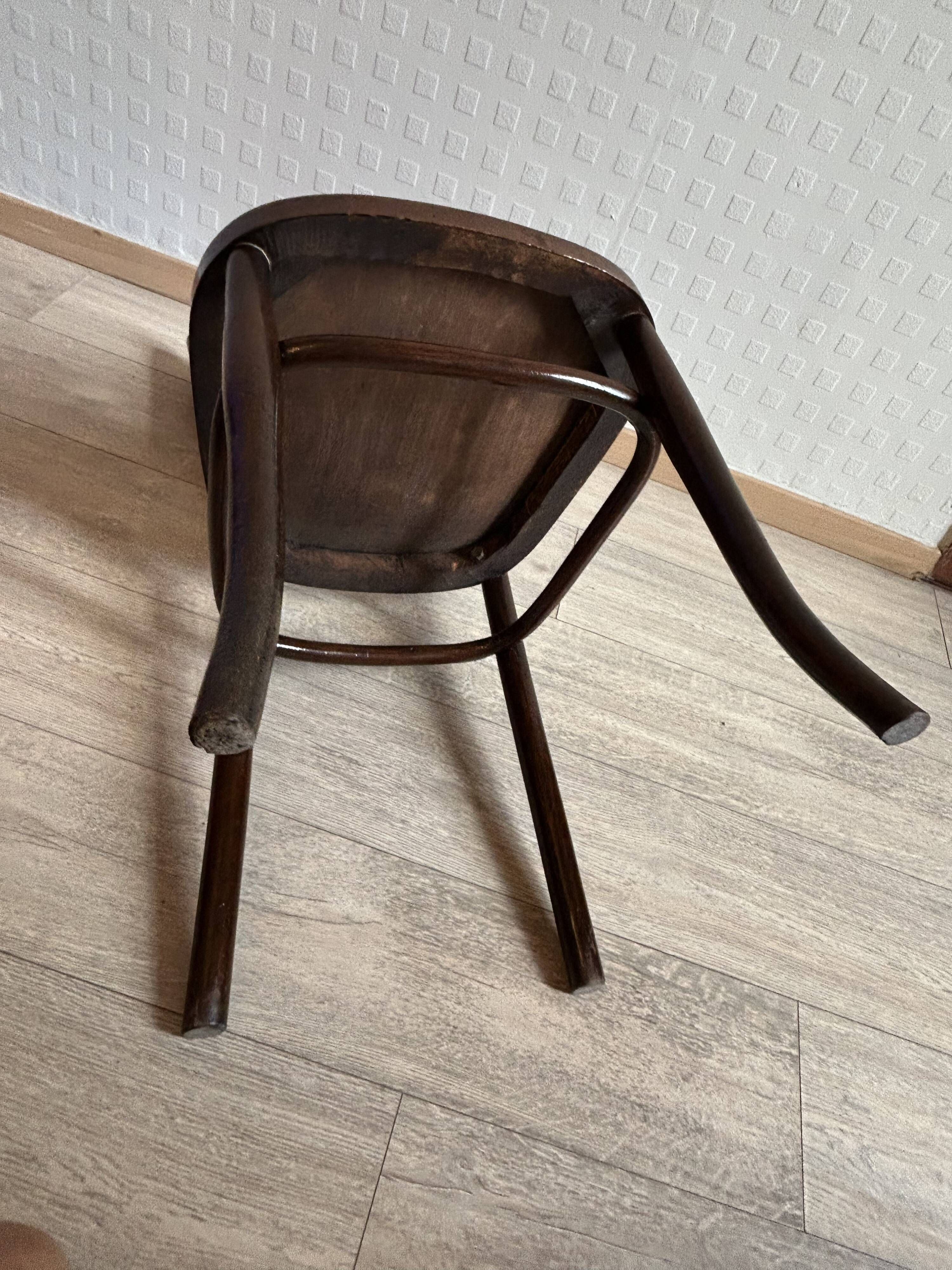 6 antique chairs Jacob & Josef Kohn – Vienna – Decorated bent wood – Style