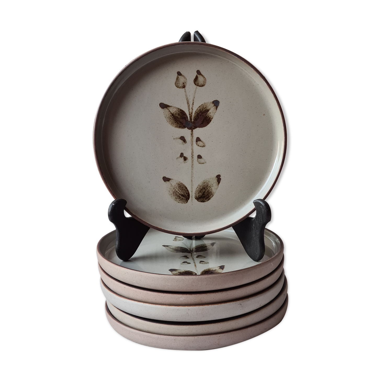 6 flat plates sandstone of the Arnon