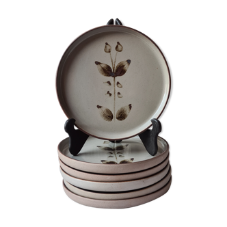 6 flat plates sandstone of the Arnon