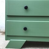 Commode year 30 Green Eucalyptus from Resources