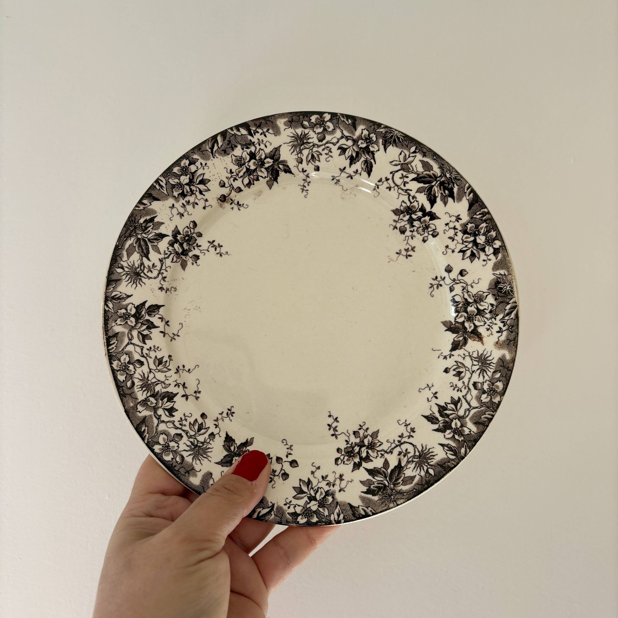 Set of 6 antique ironstone dessert plates, Alphand pattern by Sa