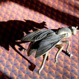 Vintage brass fly ashtray 1970