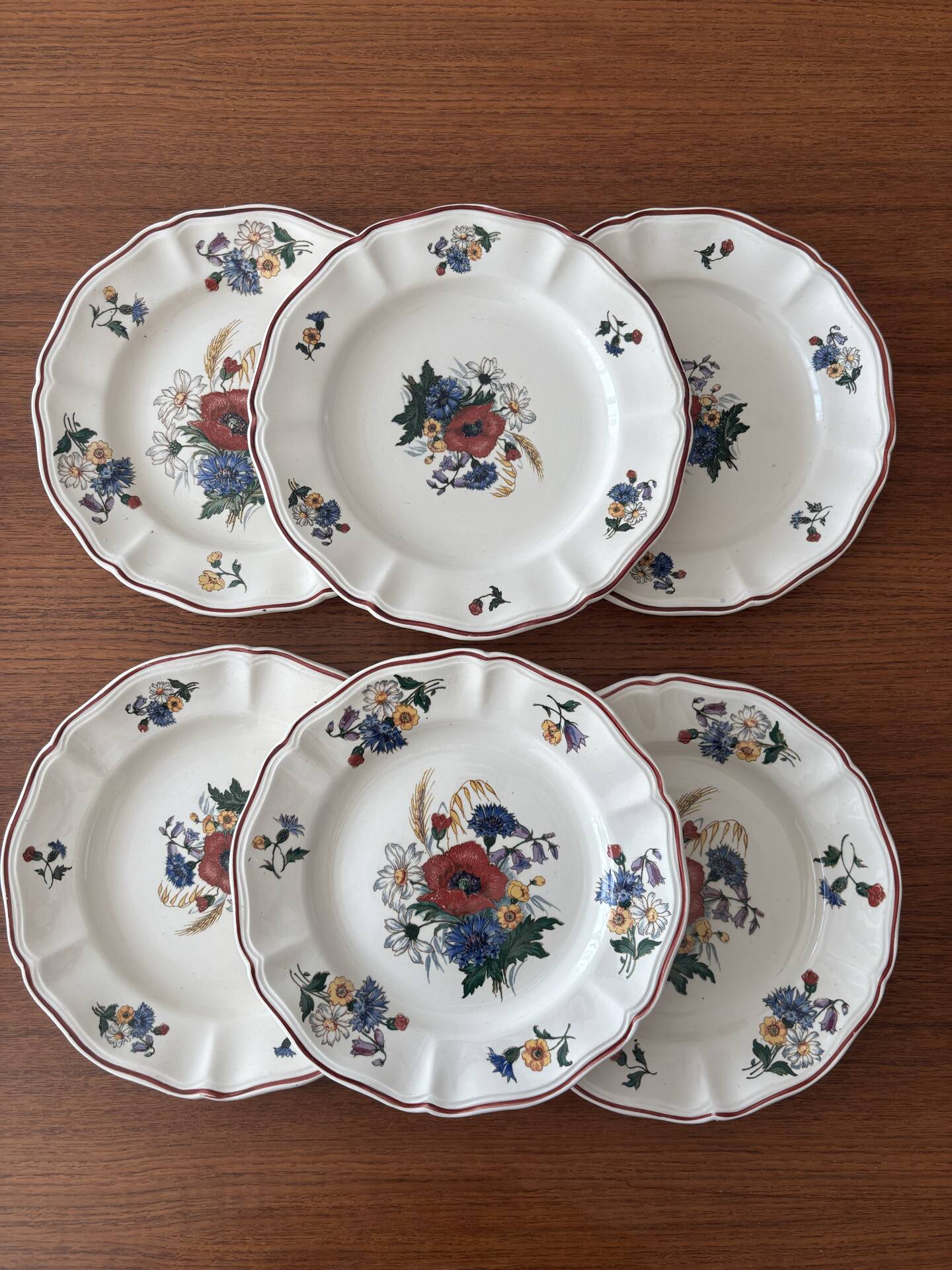 Set of 6 dessert plates Sarreguemines – Agreste model - earthenware