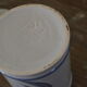 Old pharmacy pot eucalyptus globulus longchamp