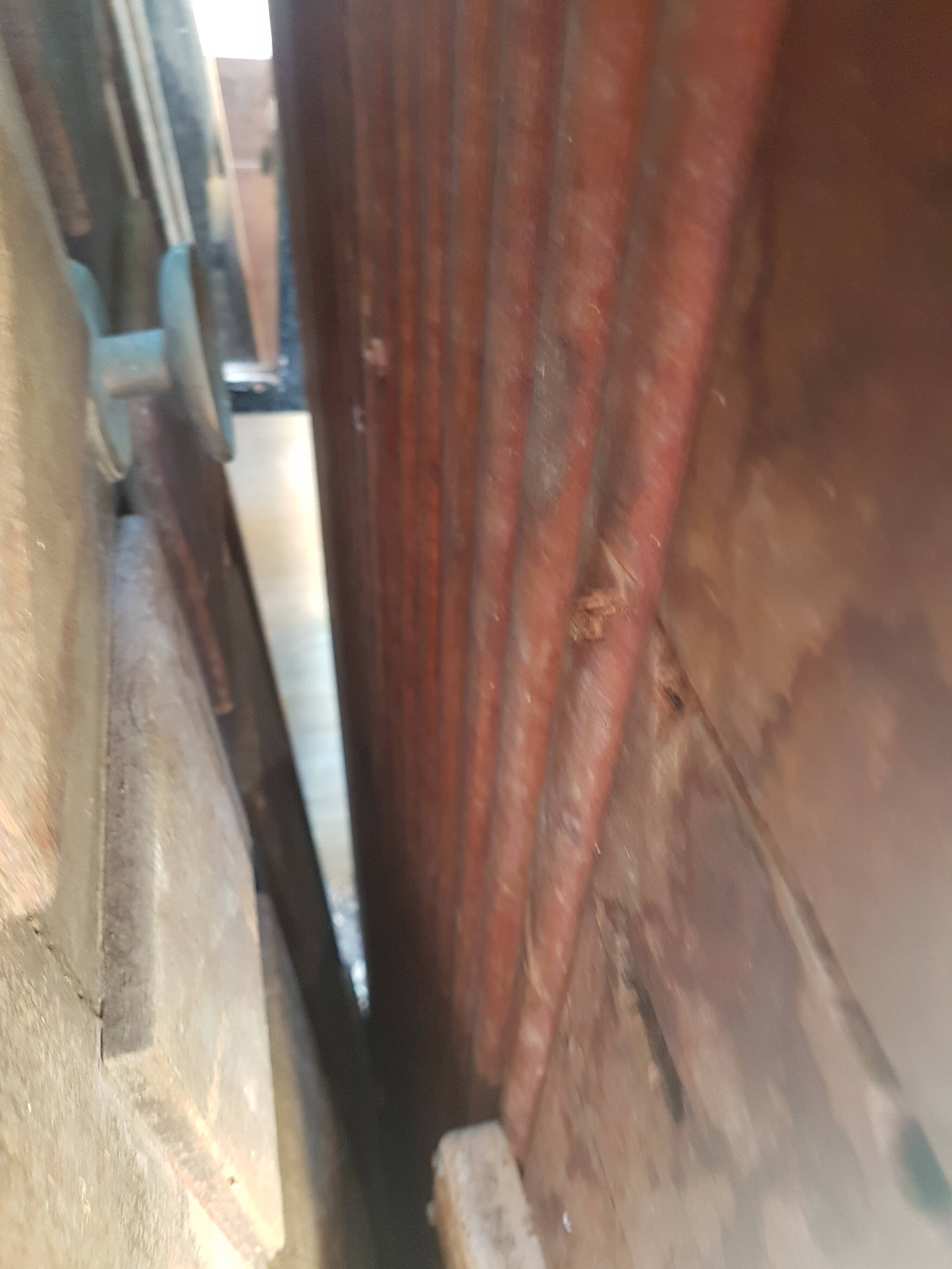 Two-pronged pitch pine bear