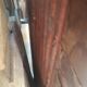 Two-pronged pitch pine bear
